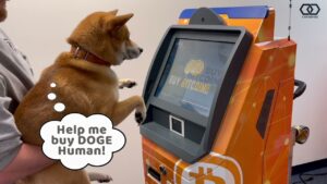 FirstDog: Be Part of the First Dog - Buy 'FirstDog' Coin!