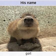 Gort Coin: Join the Meme Revolution with His Name Gort!