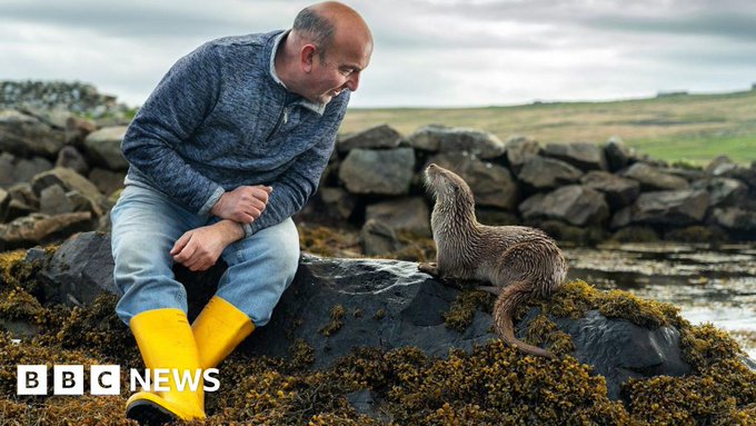 Molly Coin: Meet Molly, the orphaned otter now part of the family