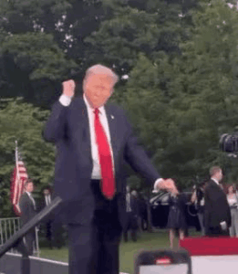 SHIMMY: Let's Make the Shimmy Our Official Crypto Dance in Honor of Donald Trump, Let's Make Dancing a New Meta, the Shimmy is Here to Stay!