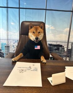 $USÐ: Maybe it's time for America to switch from USD to USÐ (United States Doge) meme Coin