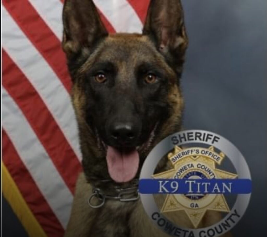 TITAN: K-9 Killed in Shootout - Meme Coin name Coin