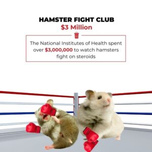 HFC: Join Hamster Fight Club! MEME Coin for Hamster Enthusiasts