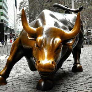 BULL Coin: The Ultimate Bullrun in MEME Coins with Wall Street Bull & $BULL