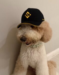 BITDOG Coin: Binance's New Fur-nancial Advisor, Discover the Exciting World of MEME Coins