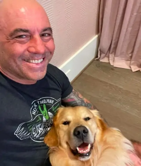 MARSHALL: Joe Rogan's Dog, Meme Coin Name Coin