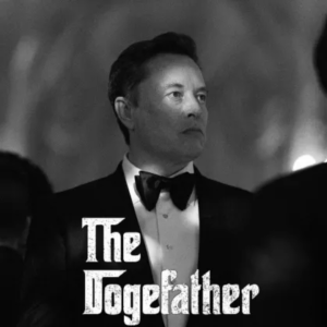 DOGEFATHER Coin: The Ultimate HODLer's Dream - Meme-Inspired Cryptocurrency