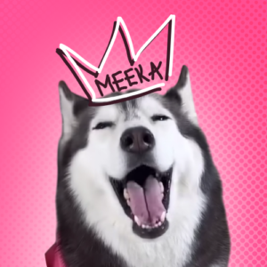 MEEKA Coin: The Sassy $MEEKA MEME Coin - Join the MEME Coins Revolution Now!