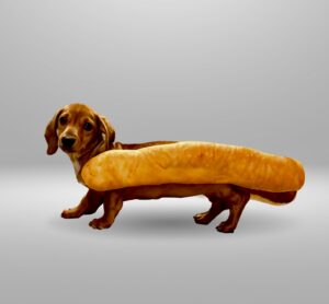 HOTDOGE: The Hottest $Doge Meme Coin on Solana 🐶🌭